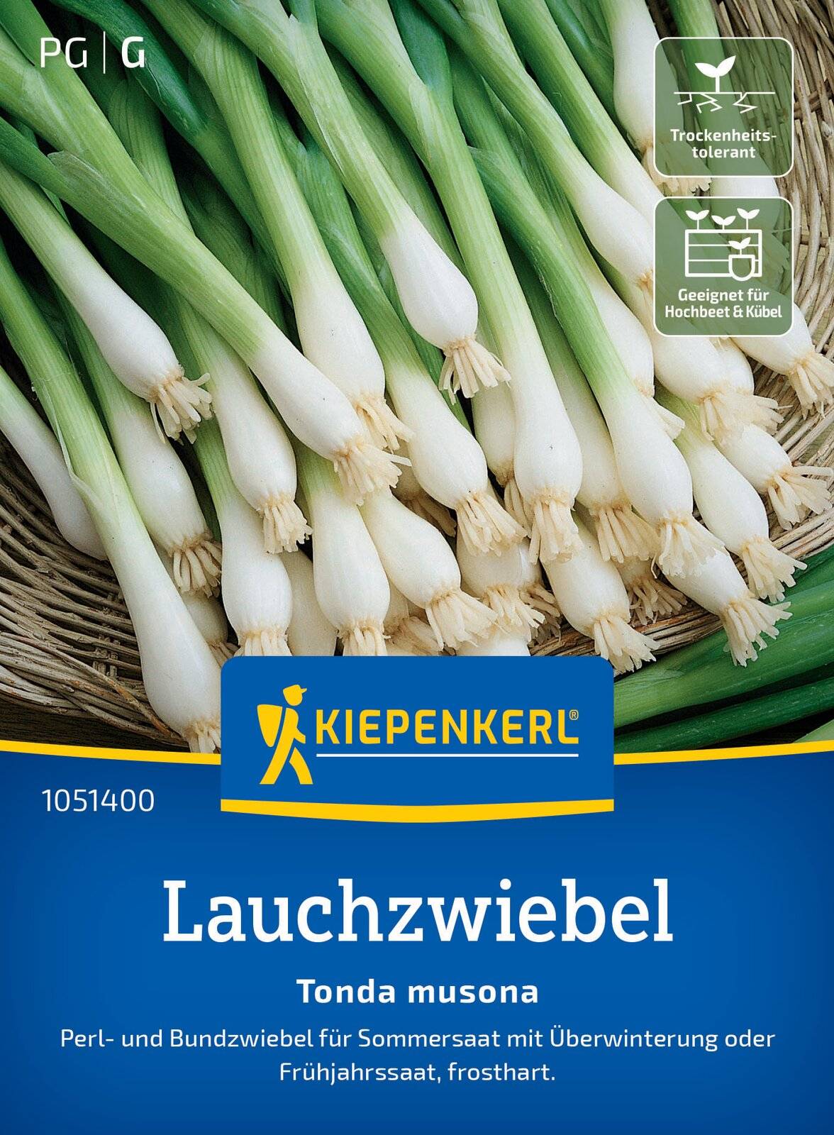 Saatgut Lauchzwiebel 'Tonda musona'