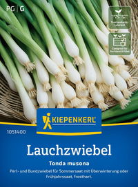 Saatgut Lauchzwiebel 'Tonda musona'