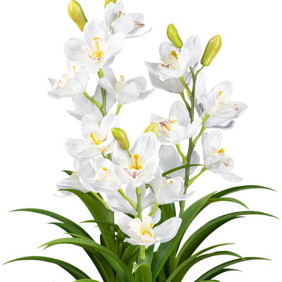 Kunstpflanze Cymbidie, Höhe ca. 70 cm Kunstpflanze Cymbidie, Höhe ca. 70 cm
