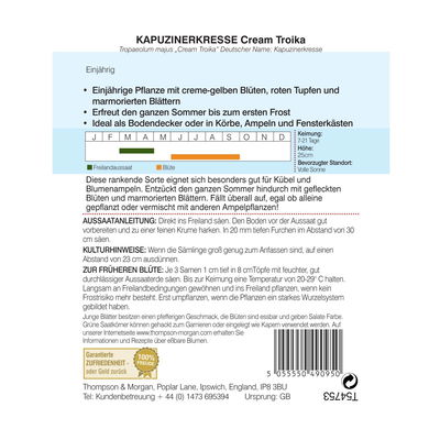 Kapuzinerkresse (Tropaeolum) Cream Troika / rankende Pflanze, einjährig, robust