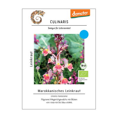 Saatgut, Marokkanisches Leinkraut Saatgut, Marokkanisches Leinkraut