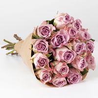 17 lila Rosen 'Memory Lane'