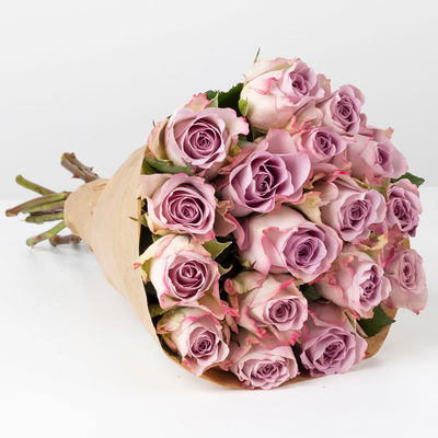 17 lila Rosen 'Memory Lane' 17 lila Rosen 'Memory Lane'