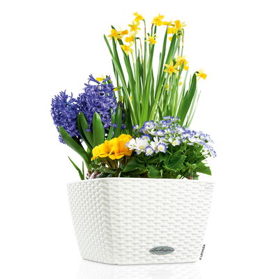 Lechuza 'Bacino Cottage', weiß, ca. 30 x 30 x H 18 cm