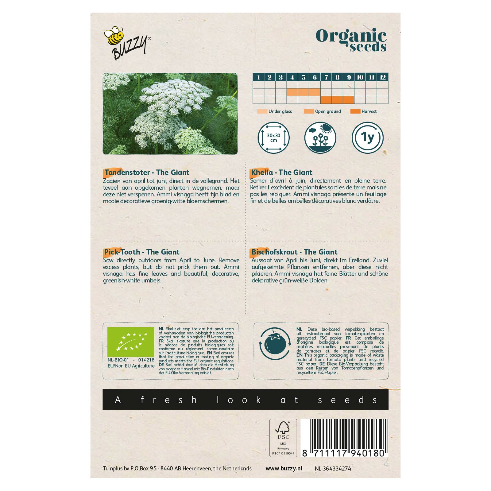 Bio Gemüsesamen, Bio-Bischofskraut 'The Giant', weiß, 0,1 g