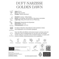 Botanische Narzissen 'Golden Dawn', gelb-orange, 25 Blumenzwiebeln Botanische Narzissen 'Golden Dawn', gelb-orange, 25 Blumenzwiebeln