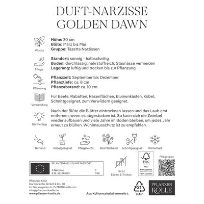 Botanische Narzissen 'Golden Dawn', gelb-orange, 25 Blumenzwiebeln Botanische Narzissen 'Golden Dawn', gelb-orange, 25 Blumenzwiebeln