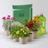 Pflanzenkreation 'Sonnenkünstler', 6 Pflanzen inkl. Erde und Dünger