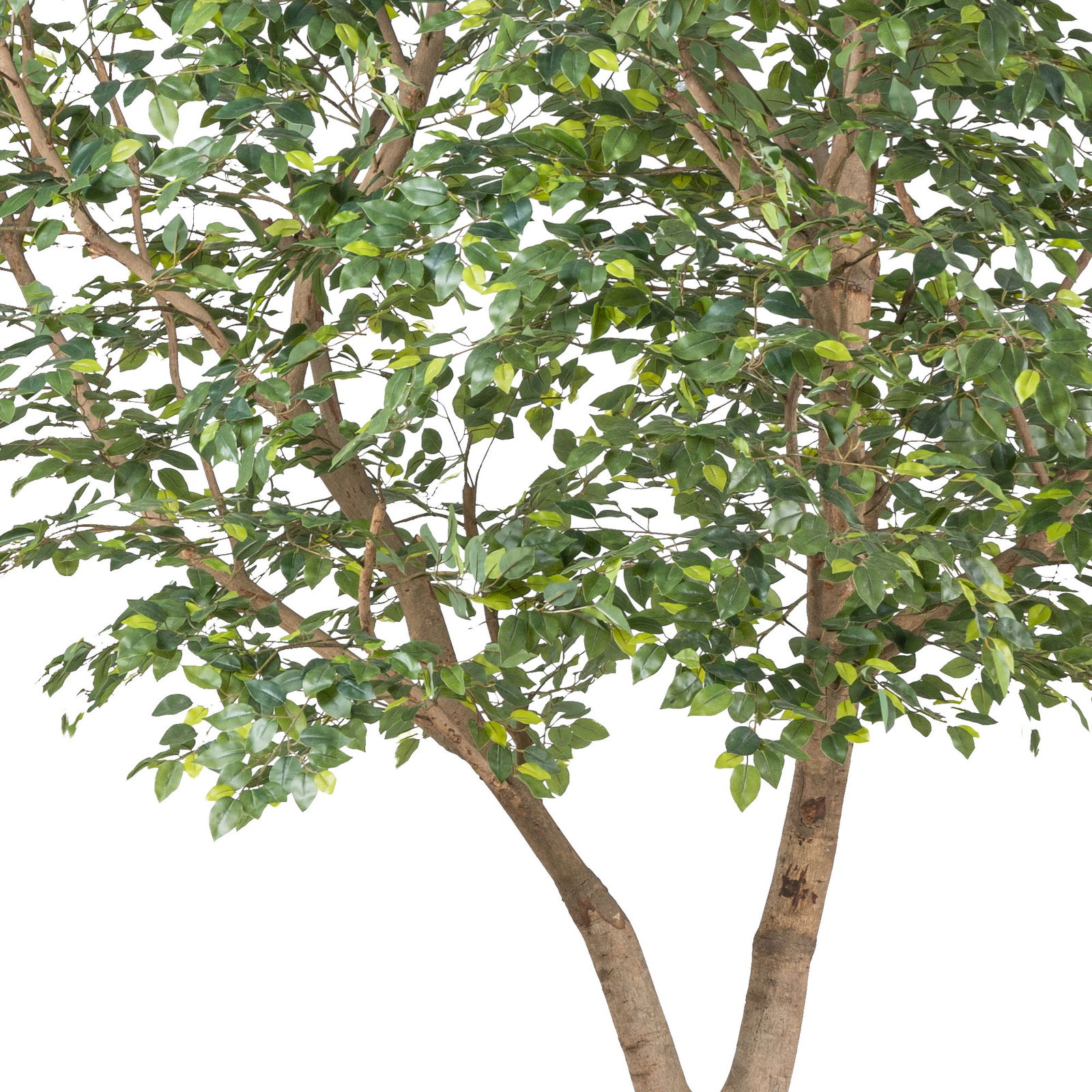 Kunstpflanze Ficus Benjamina, Höhe ca. 310 cm