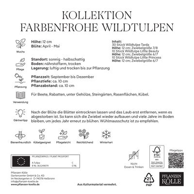 Wildtulpen-Mischung, bunt, 50 Blumenzwiebeln Wildtulpen-Mischung, bunt, 50 Blumenzwiebeln