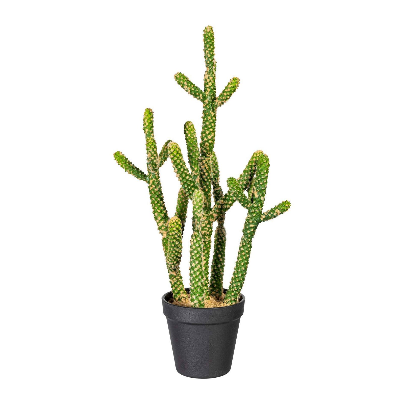 Kunstpflanze Kaktus Euphorbia, ca. 45 cm
