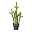 Kunstpflanze Kaktus Euphorbia, ca. 45 cm