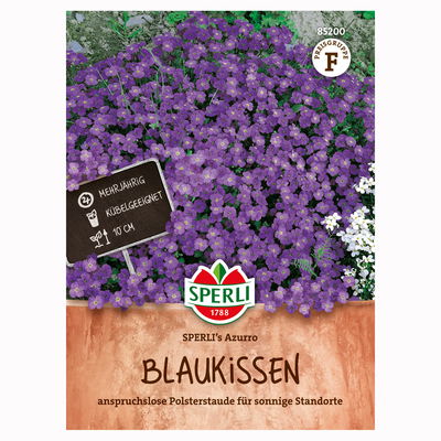 Blumensamen, Blaukissen 'Sperli’s Azurro', lila Blumensamen, Blaukissen 'Sperli’s Azurro', lila