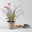 Pflanzenkreation Bunter Herbst, 12 Pflanzen inkl. 2x 10 l Erde