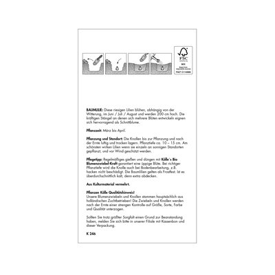 Baumlilie Lavon gelb/rote Mitte, 2 Blumenknollen