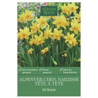 Alpenveilchen-Narzissen Tête à Tête gelb, 20 Blumenzwiebeln Alpenveilchen-Narzissen Tête à Tête gelb, 20 Blumenzwiebeln