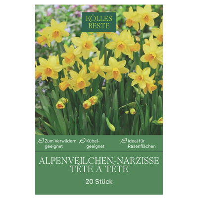 Alpenveilchen-Narzissen Tête à Tête gelb, 20 Blumenzwiebeln Alpenveilchen-Narzissen Tête à Tête gelb, 20 Blumenzwiebeln