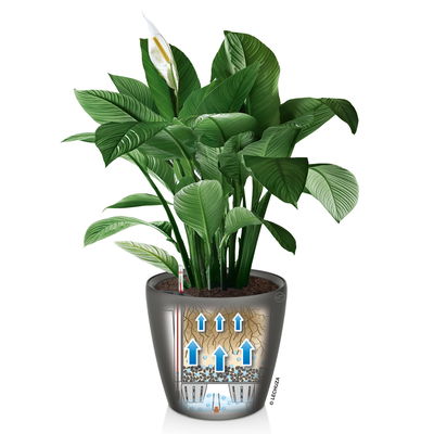 Lechuza 'Classico LS 35', taupe, ca. Ø 35 x H 33 cm