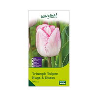 Triumph Tulpen 'Hugs & Kisses', weiß, rosa, Größe 11/12, 10 Blumenzwiebeln