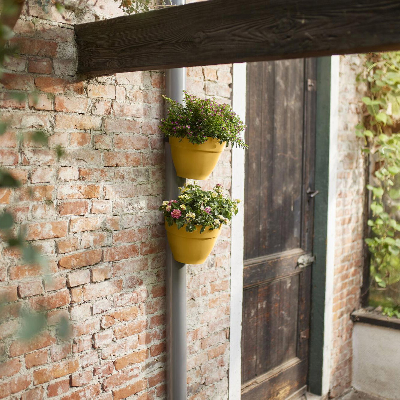 Elho Fallrohrpflanzgefäß 'Vibia Campana', gelb