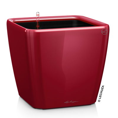 Lechuza 'Quadro LS 28', scarlet-rot, ca. 28 x 28 x H 26 cm Lechuza 'Quadro LS 28', scarlet-rot, ca. 28 x 28 x H 26 cm