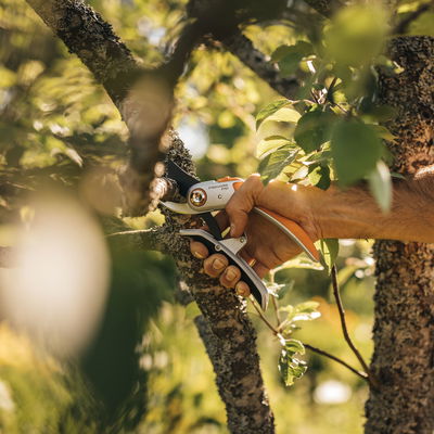 Schere 'Plus PowerLever', schwarz/orange