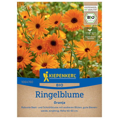 Blumensamen, Ringelblume 'Oranja', orange Blumensamen, Ringelblume 'Oranja', orange