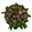 Hyazinthe rosa, vorgetrieben, Schale-Ø 27 cm