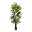 Kunstpflanze Raphis-Palme, Höhe ca. 200 cm