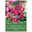 Wildtulpen Pulchella Humilis rosa, 10 Blumenzwiebeln Wildtulpen Pulchella Humilis rosa, 10 Blumenzwiebeln