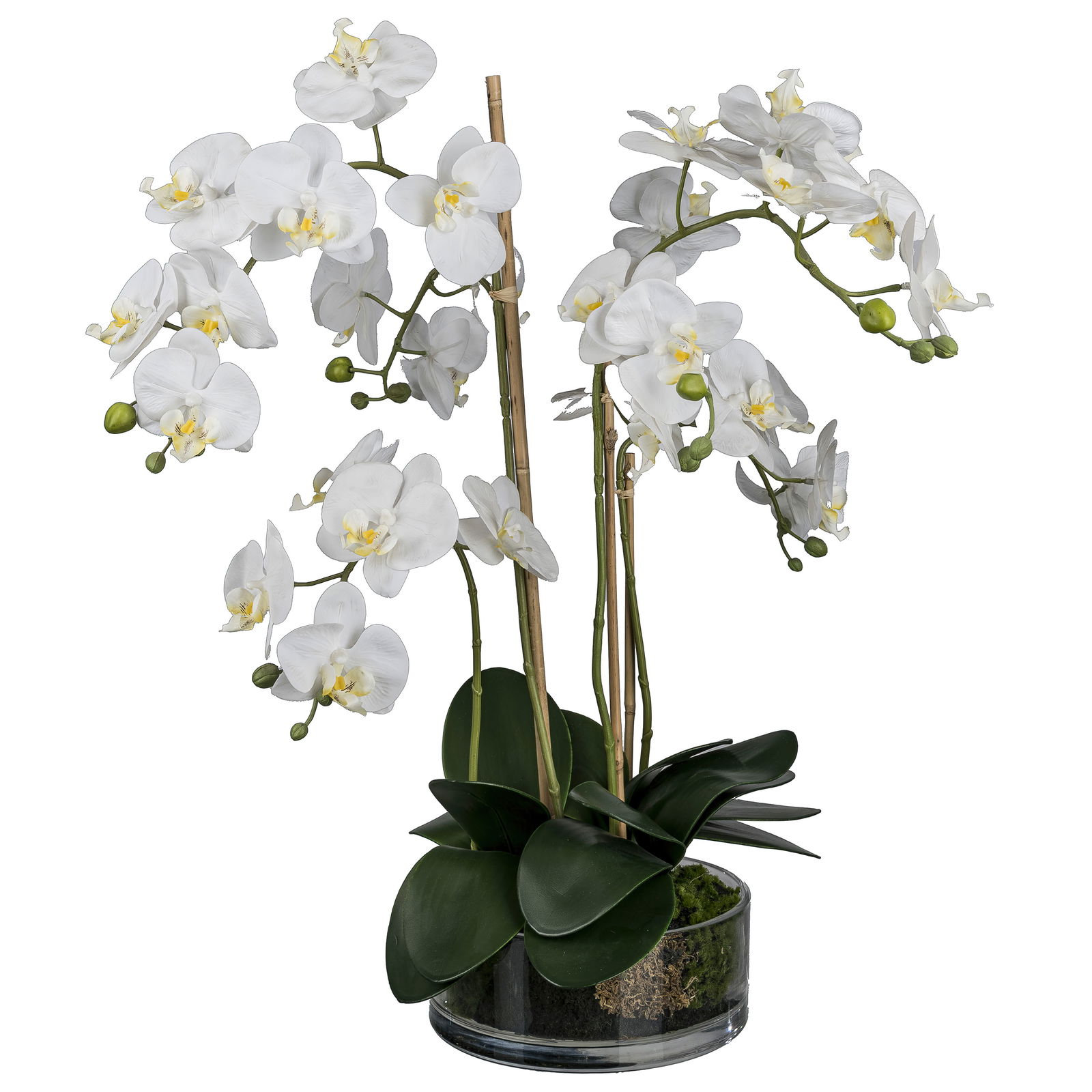 Kunstpflanze Phalaenopsis im Glas, Höhe ca. 50 cm