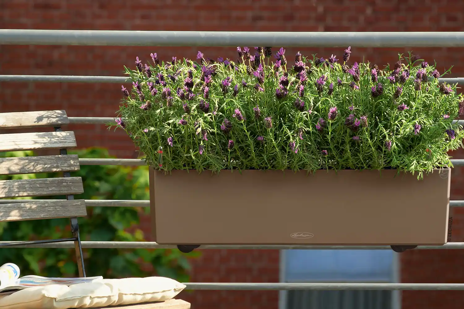 Balkonkasten mit Lavendel