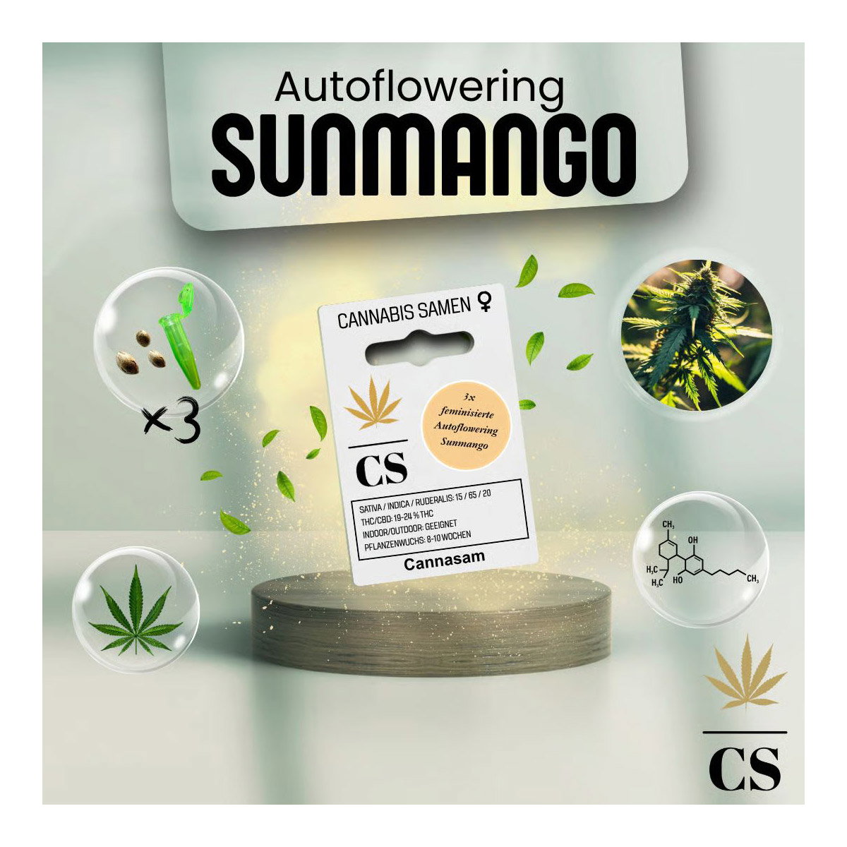 Cannabis Saatgut Hanf 'Sunmango Auto' Cannabis Saatgut Hanf 'Sunmango Auto'