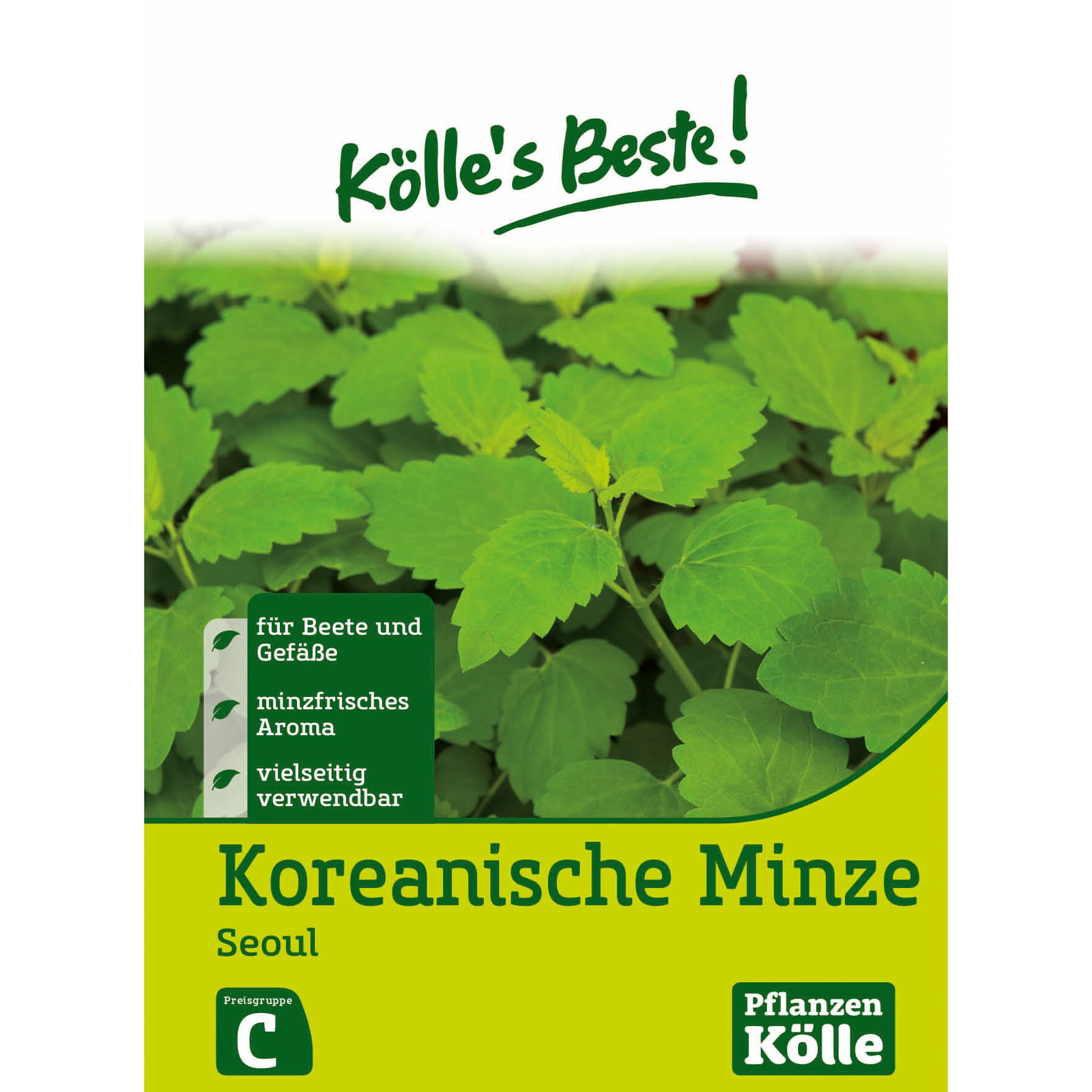 Kölle's Beste Koreanische Minze Seoul, 6 g