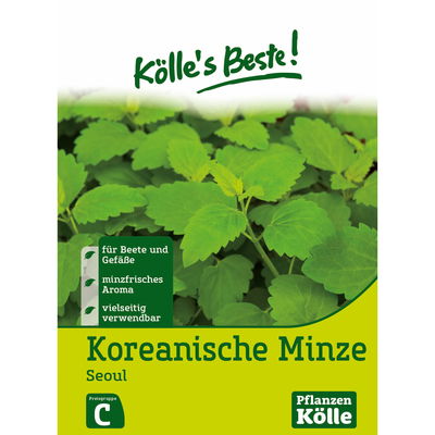 Kölles Beste Koreanische Minze Seoul, 6 g Kölles Beste Koreanische Minze Seoul, 6 g