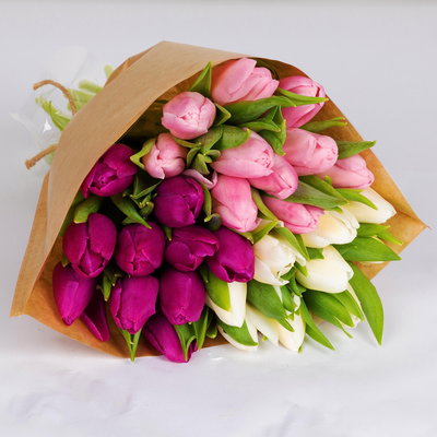 30 Tulpen, weiß, lila & rosa