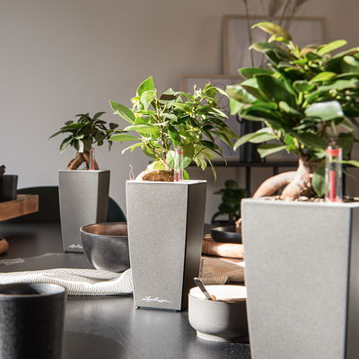 Lechuza 'Maxi-Cubi', anthrazit, ca. 14 x 14 x H 26 cm