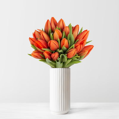 30 orangene Tulpen