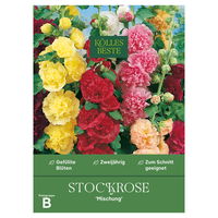 Kölles Beste Blumensamen, Stockrose 'Mischung'