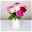 Blumenbund mit Pfingstrosen, 10er-Bund, rot-rosa-weiß, inkl. gratis Grußkarte