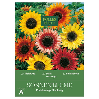 Kölles Beste Blumensamen Sonnenblumen Kleinblumige Mischung (Helianthus)