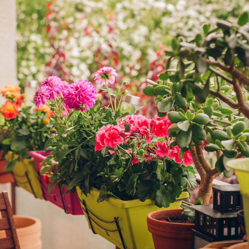 Online-Kurs Online-Kurs