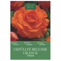 Kölles Beste Blumenknollen, Gefüllte Begonie 'Orange'