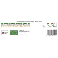 Kölles Beste Calla Schwarzwälder schwarz, 2 Blumenknollen