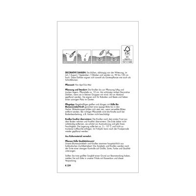 Schmuck-Dahlie 'Smiling Don', pink, Größe 1, 1 Blumenknolle Schmuck-Dahlie 'Smiling Don', pink, Größe 1, 1 Blumenknolle