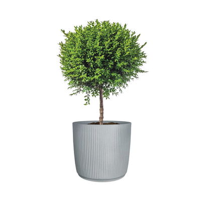 Scheurich Pflanzgefäß 'Linetto', grau, ca. Ø 47 x H 43 cm