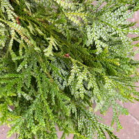 Thujopsis im Handbund, 3 Bund Thujopsis im Handbund, 3 Bund