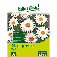 Kölle's Beste Blumensamen Margeriten weiß