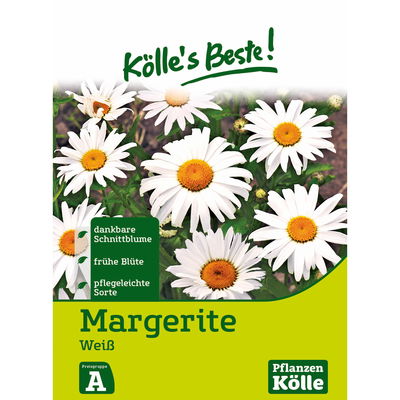 Kölles Beste Blumensamen Margeriten weiß Kölles Beste Blumensamen Margeriten weiß