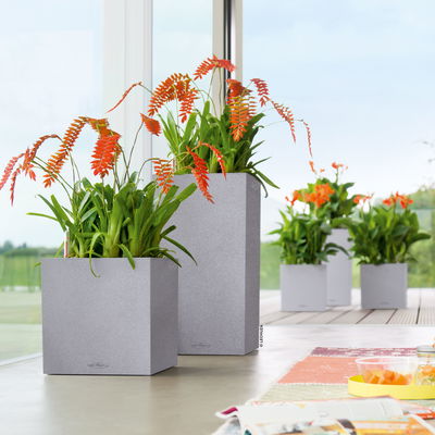 Lechuza 'Canto Stone 40 low', steingrau, ca. 40 x 40 x H 40 cm